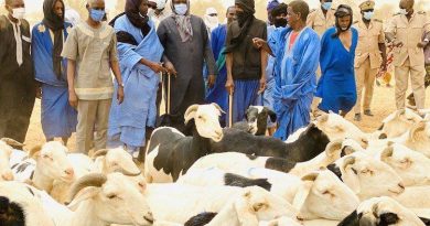 Mauritanie: un mouton entrée de gamme coûte 9.000 ouguiyas, «et c’est pas normal»