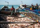 Nouvelle série de négociations mauritano-européenne pour le renouvellement de l’accord de pêche