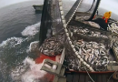 Accord de partenariat de pêche RIM-UE : dernière ligne droite !