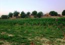 Foncier agricole à M’Bagne : les propriétaires terriens de Walodiane dénoncent un projet d’expropriation et interpellent l’État