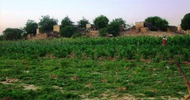Foncier agricole à M’Bagne : les propriétaires terriens de Walodiane dénoncent un projet d’expropriation et interpellent l’État Foncier agricole à M’Bagne : les propriétaires terriens de Walodiane dénoncent un projet d’expropriation et interpellent l’État