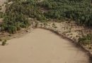 Mauritanie: trois tonnes de graines dispersées dans une nouvelle campagne de semis aériens