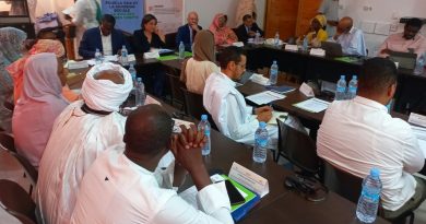Atelier multi-acteurs pour renforcer la cohésion sociale et prévenir les conflits